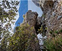 20260329_110037 - Gigliola Ioppi